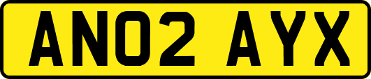 AN02AYX