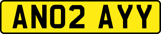 AN02AYY