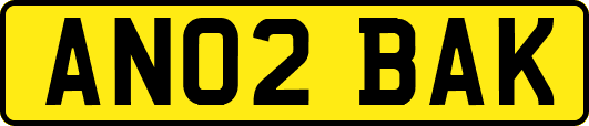 AN02BAK