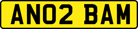 AN02BAM