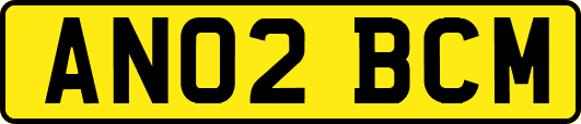 AN02BCM