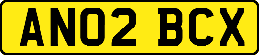 AN02BCX