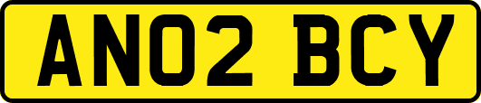 AN02BCY