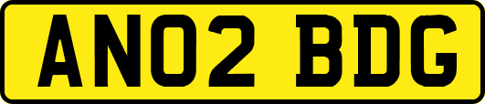 AN02BDG