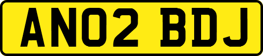 AN02BDJ