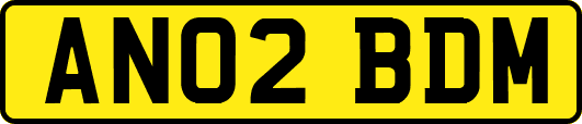 AN02BDM