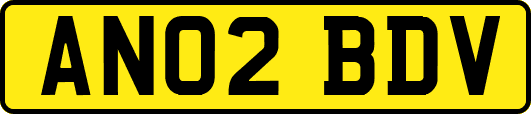 AN02BDV