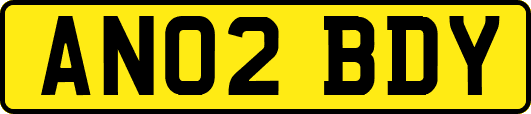 AN02BDY