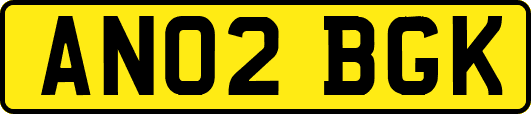 AN02BGK