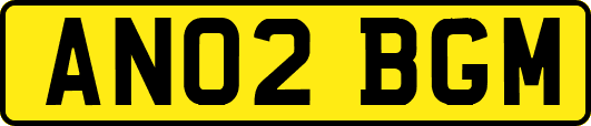 AN02BGM