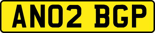 AN02BGP