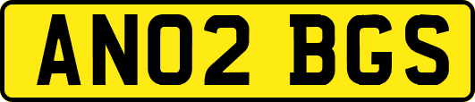 AN02BGS