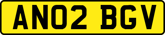 AN02BGV