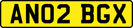 AN02BGX