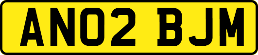AN02BJM