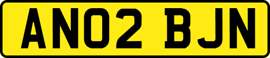 AN02BJN