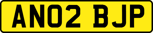 AN02BJP