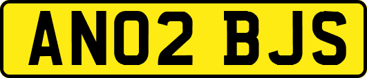 AN02BJS