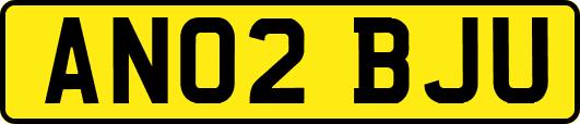 AN02BJU