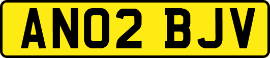 AN02BJV