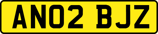 AN02BJZ