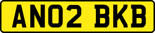 AN02BKB
