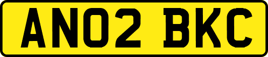 AN02BKC