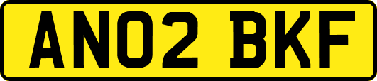 AN02BKF