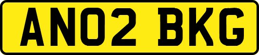 AN02BKG