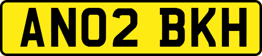 AN02BKH
