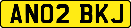 AN02BKJ