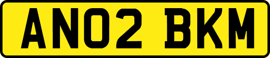 AN02BKM