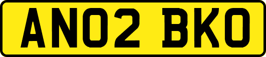 AN02BKO