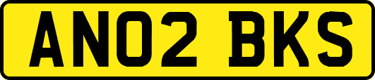 AN02BKS
