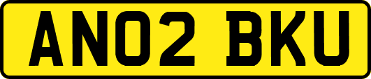 AN02BKU
