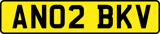 AN02BKV