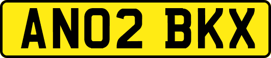 AN02BKX