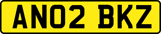 AN02BKZ