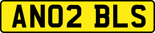 AN02BLS