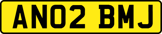 AN02BMJ