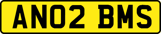 AN02BMS