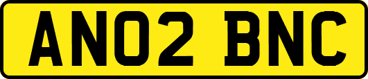 AN02BNC