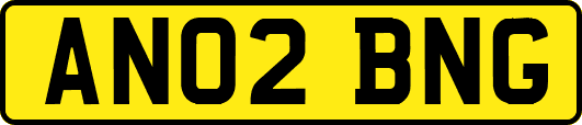 AN02BNG