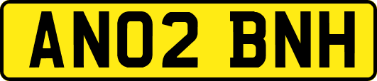 AN02BNH