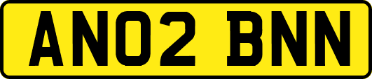 AN02BNN