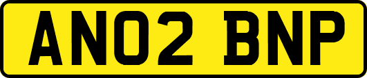 AN02BNP