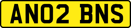 AN02BNS