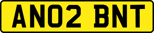 AN02BNT