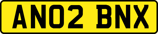 AN02BNX