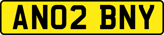 AN02BNY